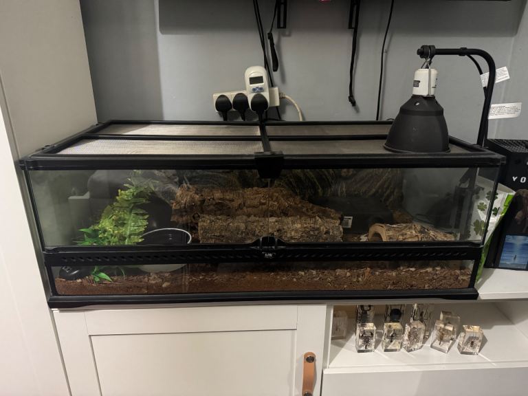 Exo terra large low terrarium
