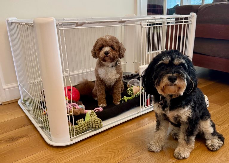 Indoor dog playpen