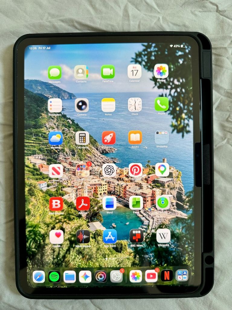1 month old IPad Pro 11inch M5