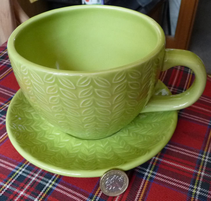 VERY LARGE CUP AND SAUCER SET - MEADOW GREEN - NO DAMAGE.. COLLECT