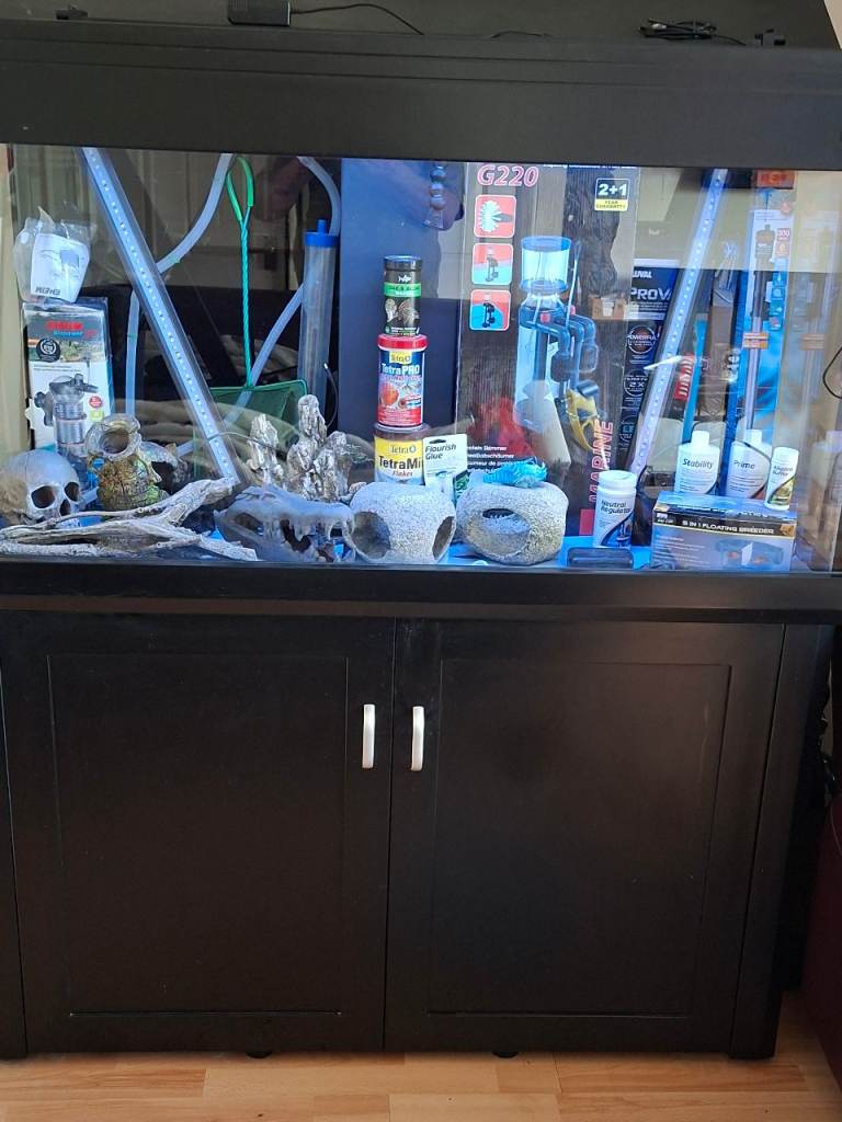 Aqua 1 fish tank