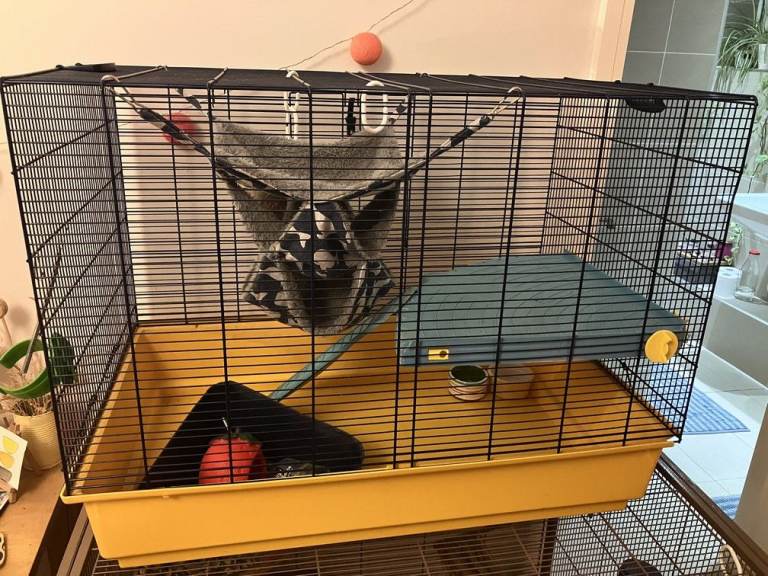 Rat, hamster or rodent cage 