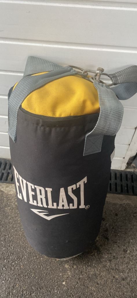 Everlast Punch/KickBag