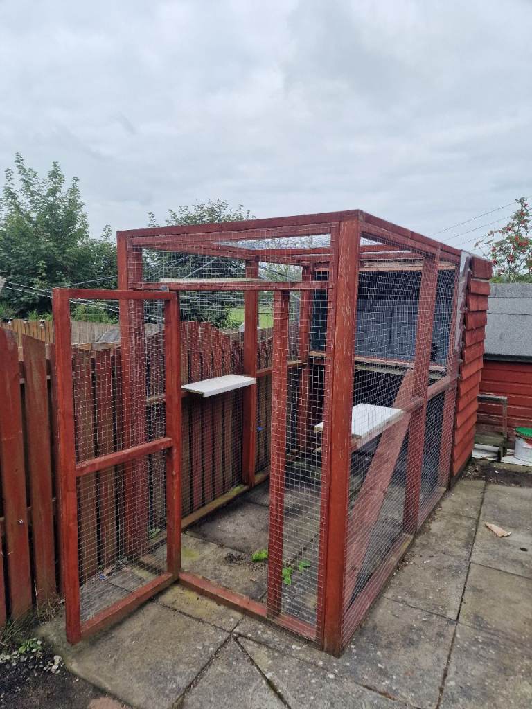 Cats Outdoor pen
