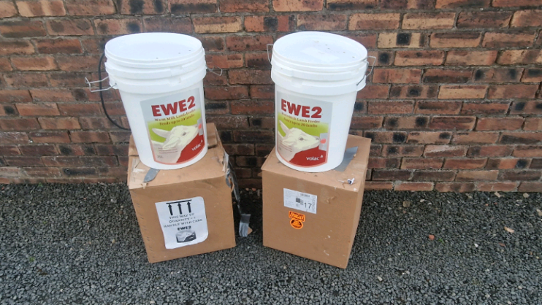 Ewe 2 orphan lamb feeder three available farm livestock tractor 