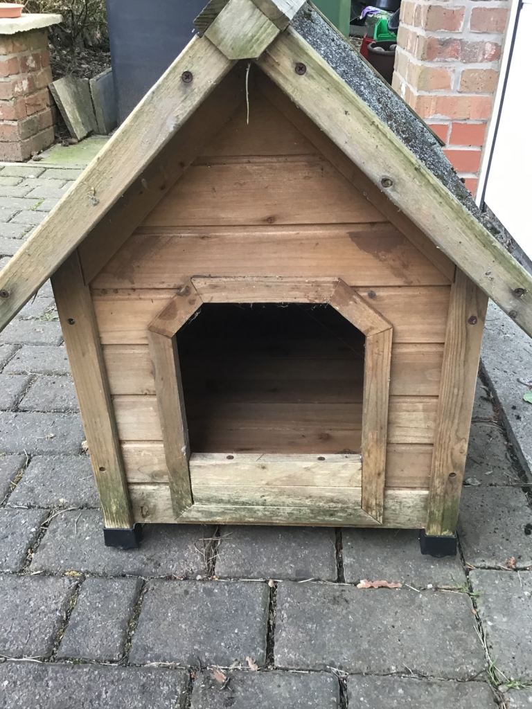 Small outdoor kennel for small dog or cat.