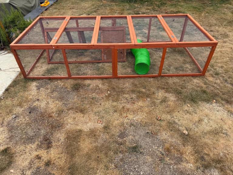 Rabbit hutch 