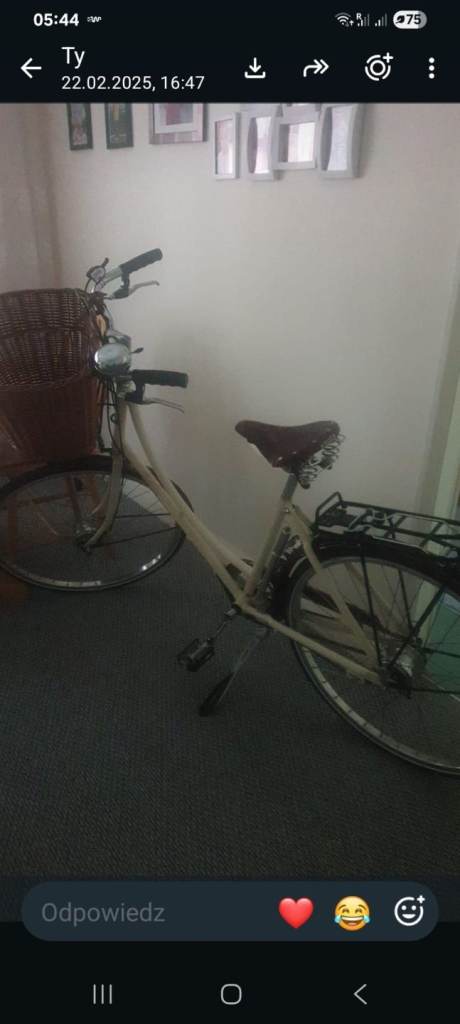 STOLEN BIKE 
