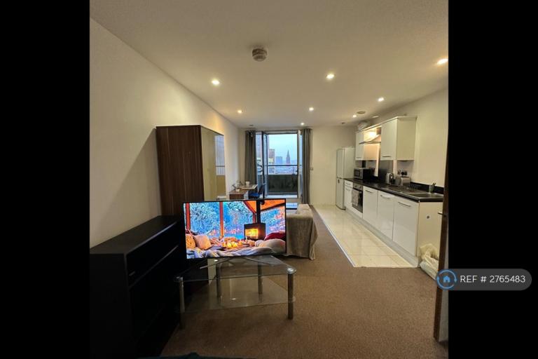 Studio flat in Masshouse Plaza, Birmingham, B5 (#2765483)