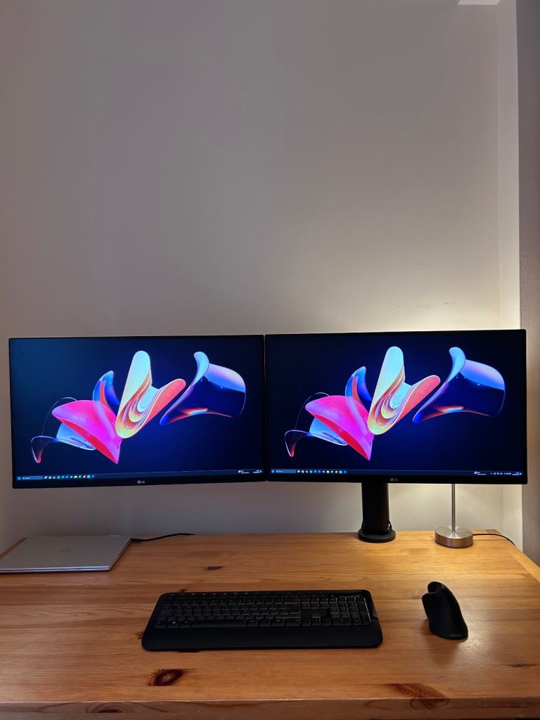 LG QHD Monitor Ergo Dual 27QP88D - As Good As New