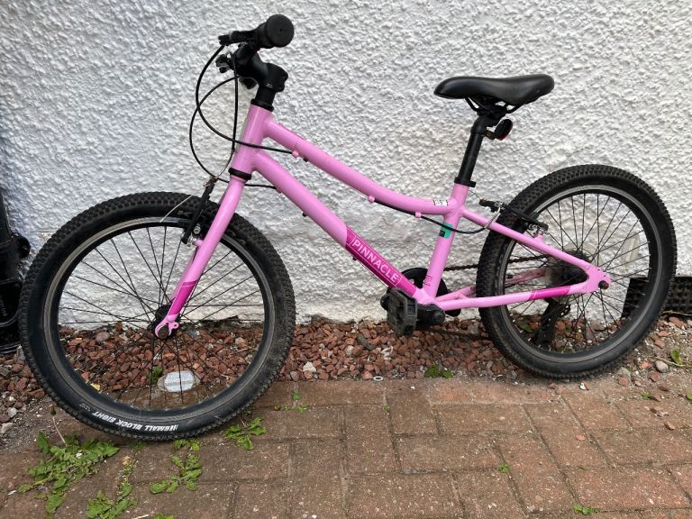 20” Pinnacle Girls Bike