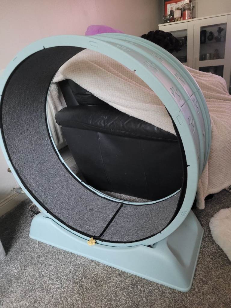 animal exercise wheel