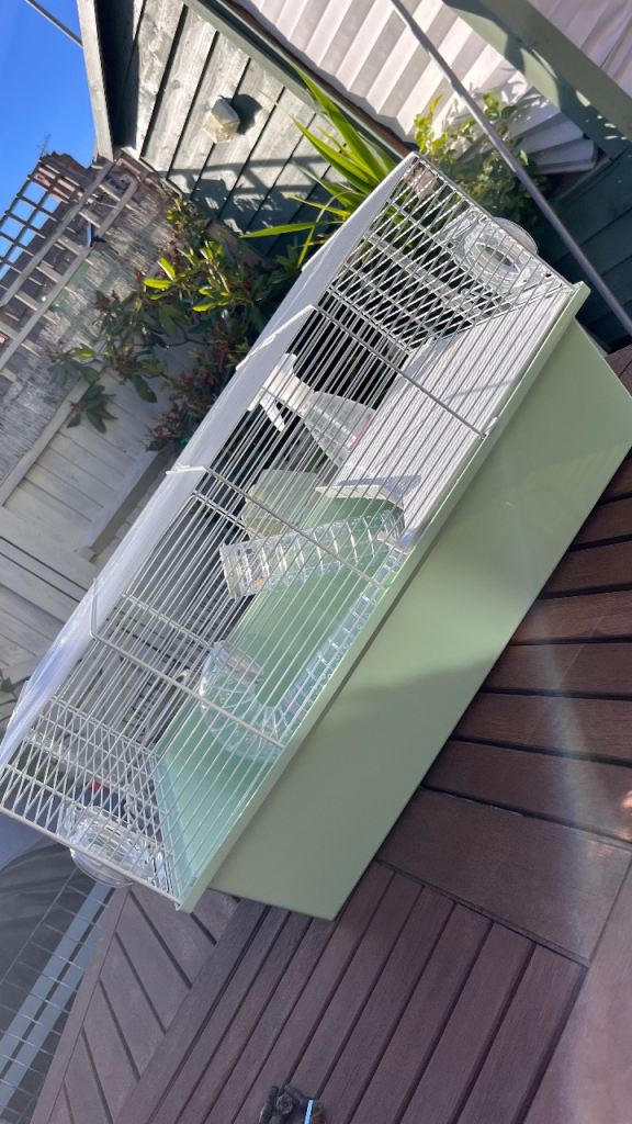 Hamster cage with tunnel 