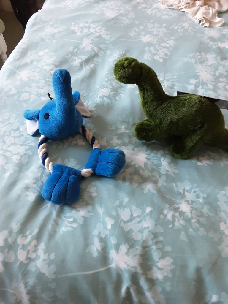 2 TOYS FOR DOGS