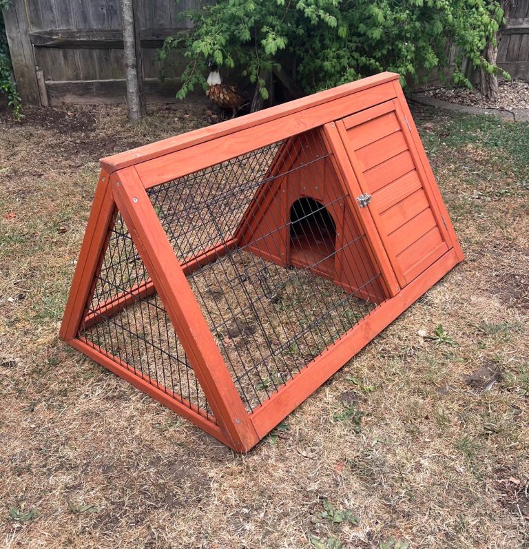 Apex Guinea Pig / Rabbit Run