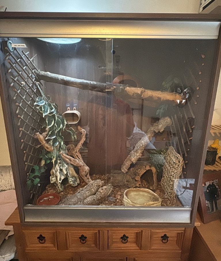 Arboreal Vivarium for sale
