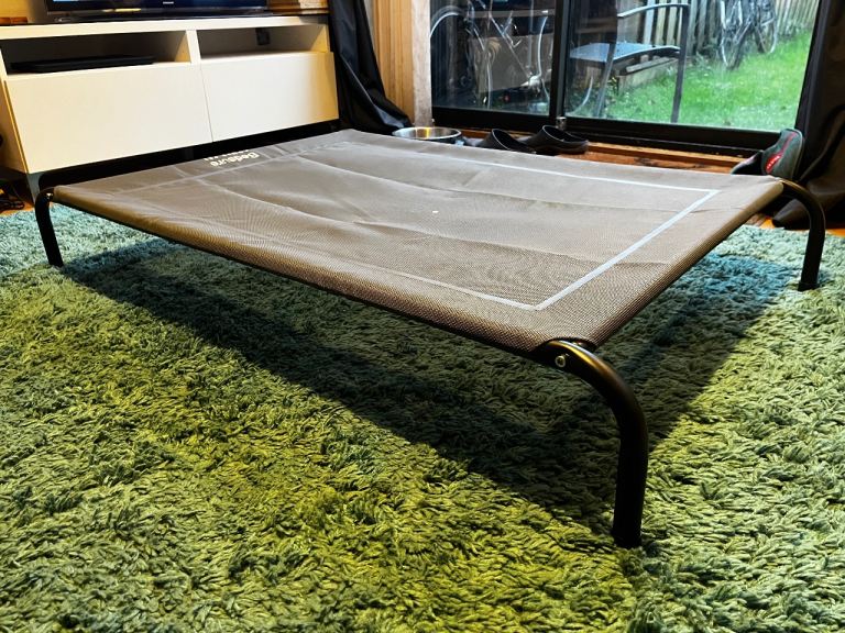 Raised dog bed - large never used 