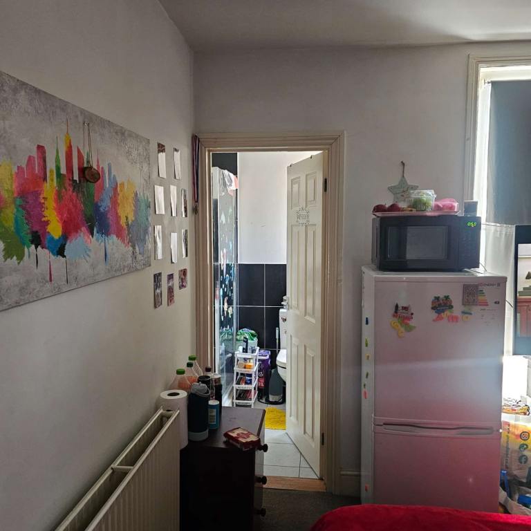 Large double en-suite room 