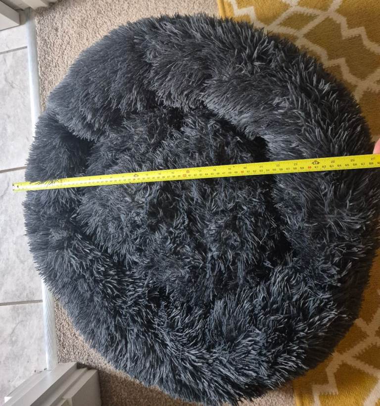 FREE dog/cat bed