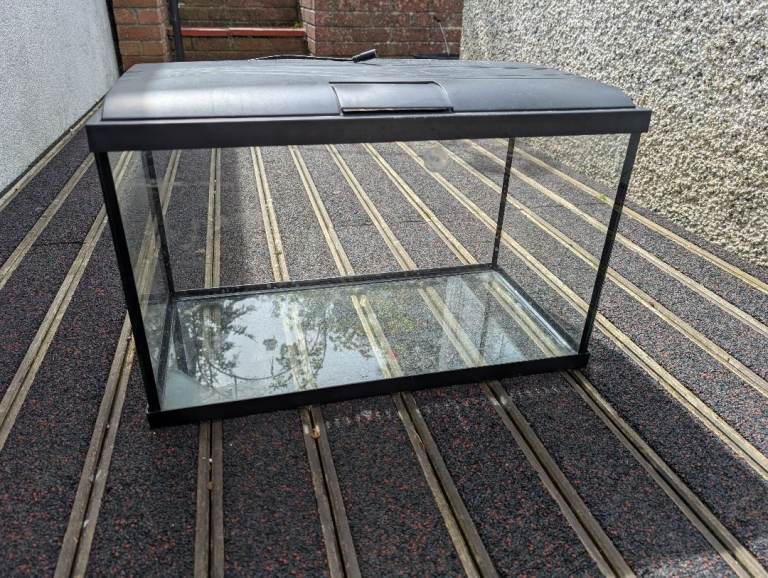 Fish Tank Aquarium 