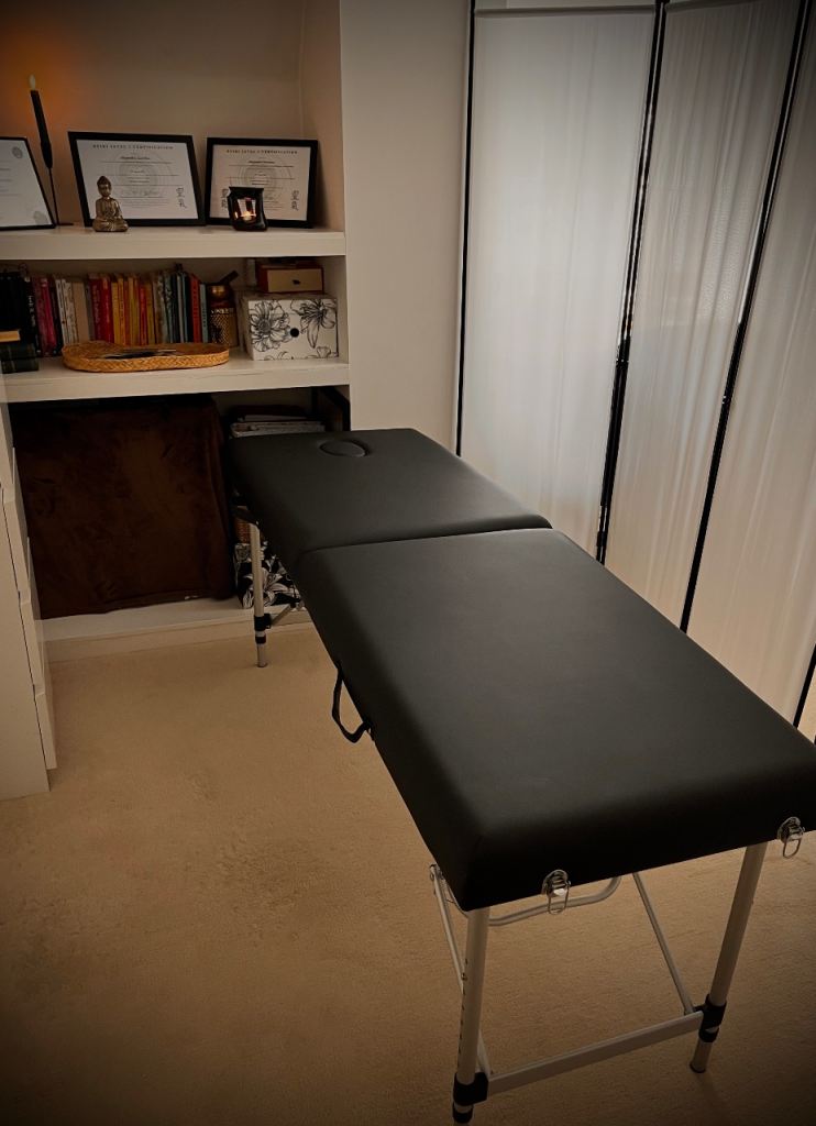 Portable Foldable Massage table bed therapy black 
