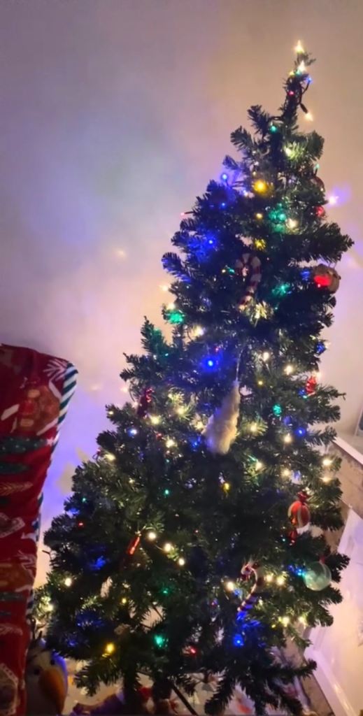 6ft Christmas tree 