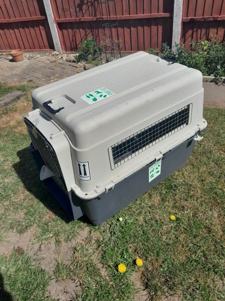Large travel cage or indoors
