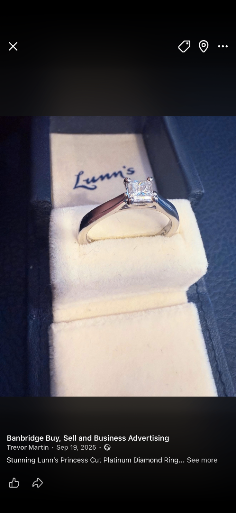 Lunn's Princess Cut Platinum Diamond Ring 