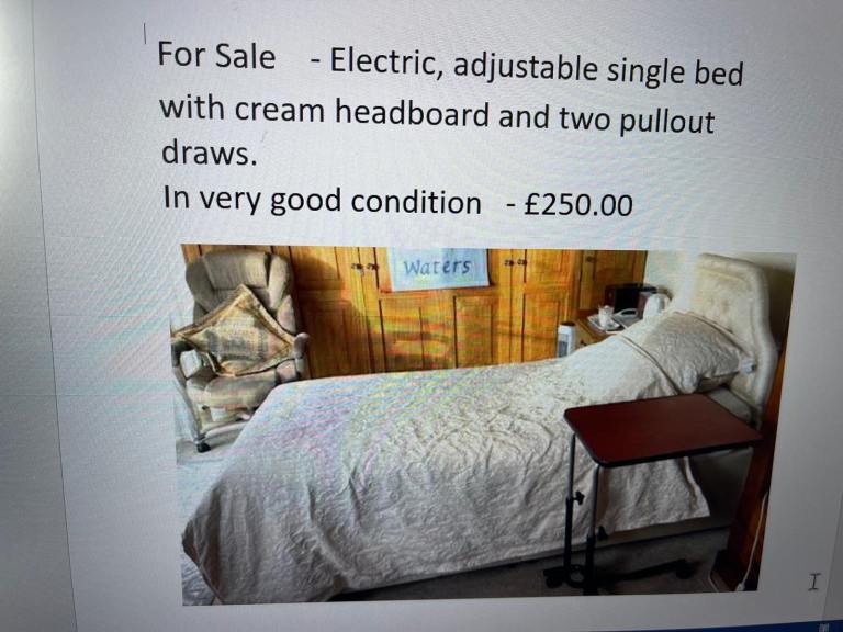 Electric single bed