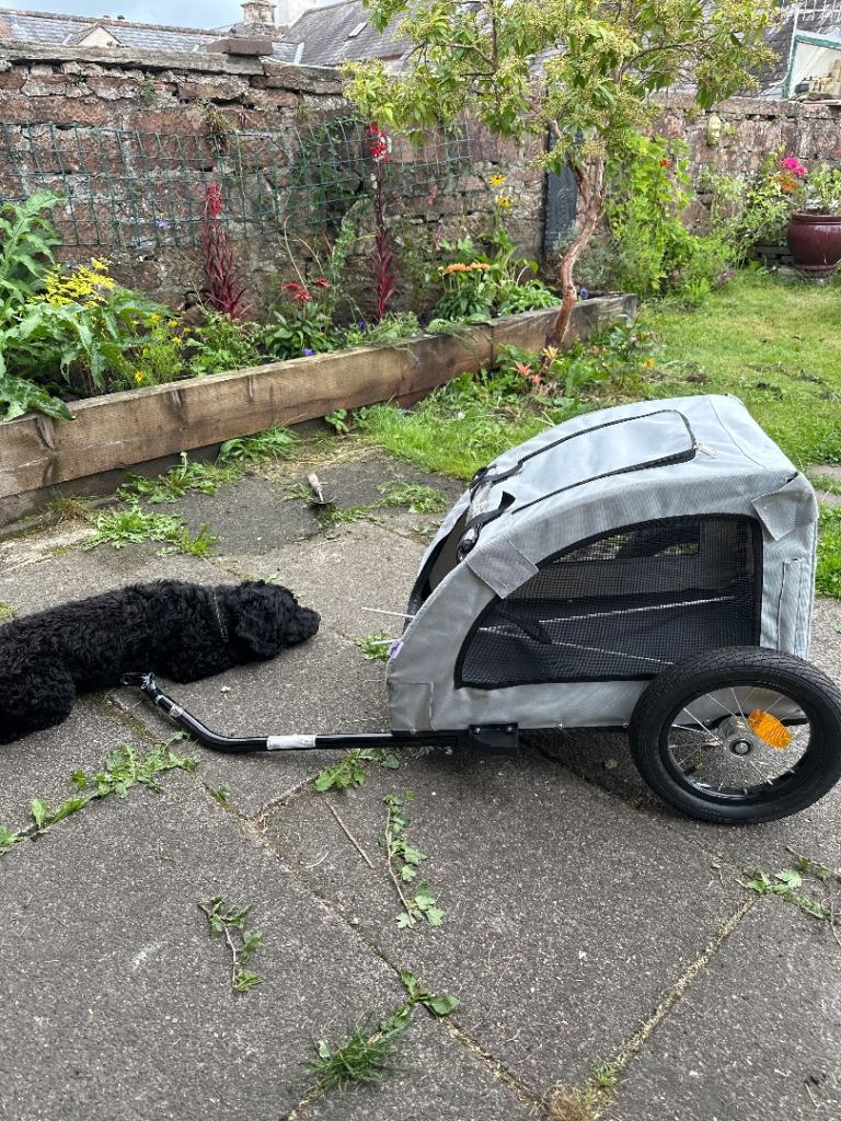 Dog trailer for bicycle