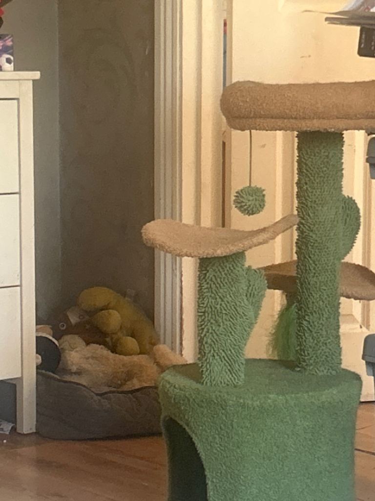 Pet toys cats or small dogs 🐕 🐈 