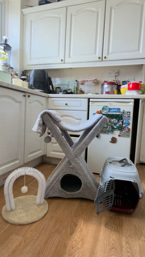 Cat bundle 