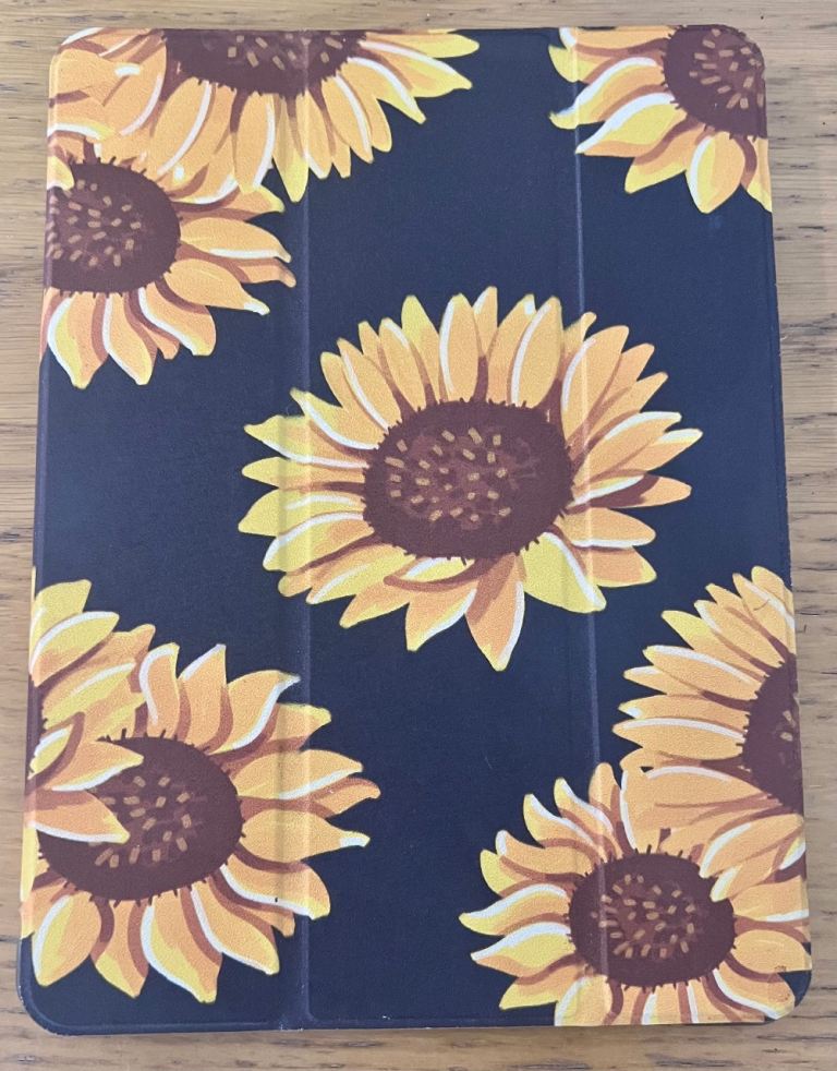 Apple Ipad 10.2 inch case