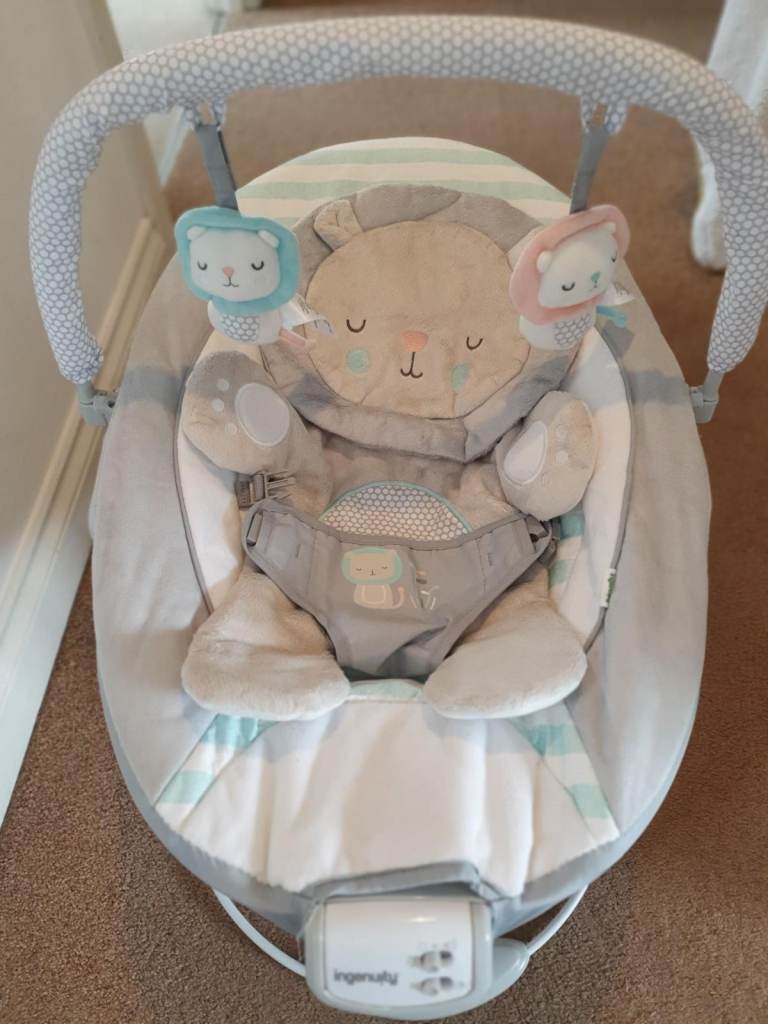 Ingenuity Baby Bouncer