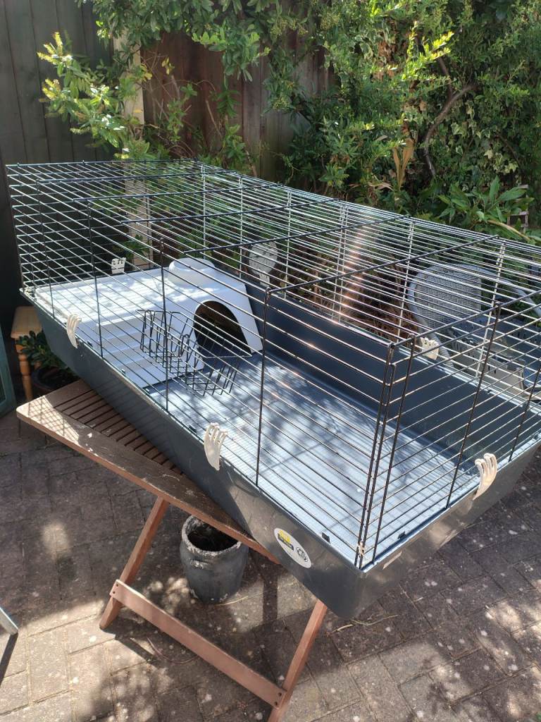 Rabbit/guinea pig cage