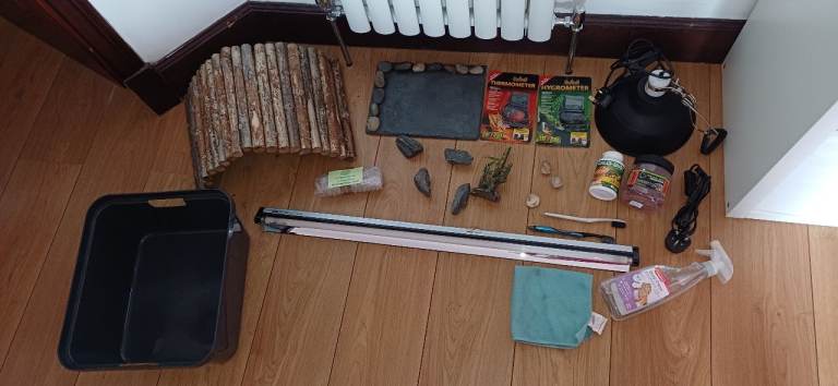 Tortoise accessories 