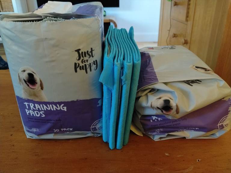 Puppy toilet training pads