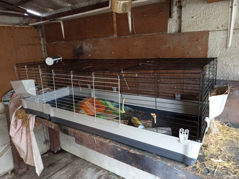 Indoor hutch