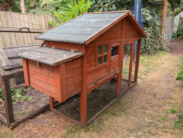 Chicken hutch and run