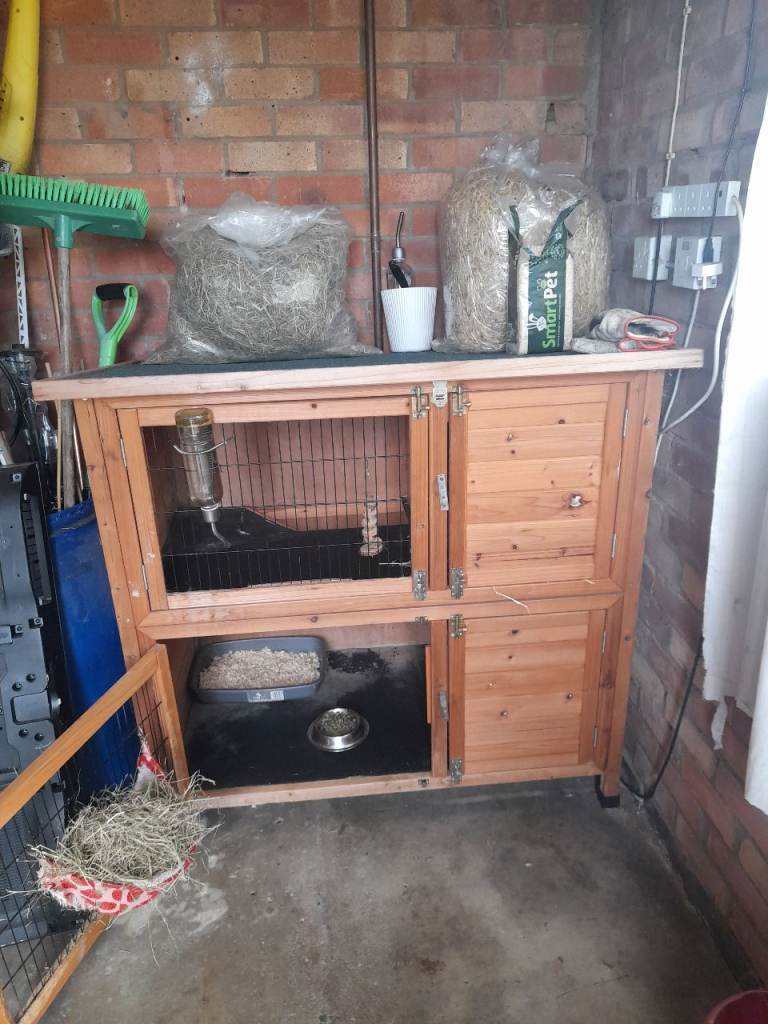 Rabbit and double hutch