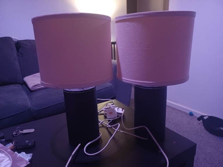 Pair of Bedside/Coffee Table Lamps Black Leather Base