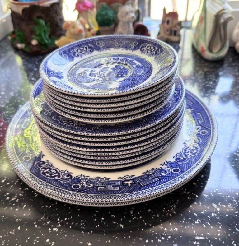 MYOTT Old Willow Dinnerware Set – Blue and White Plates