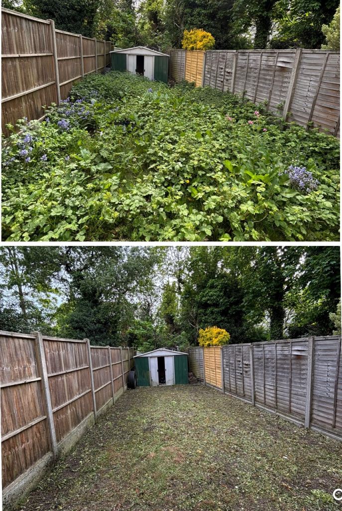 Gardener NW3 Hampstead – Garden Clearance, Hedge Cutting, Tidy Up – Same Day Available 