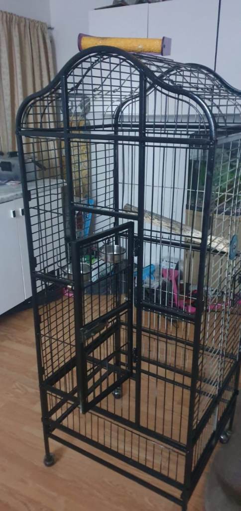 5ft black birdcage 