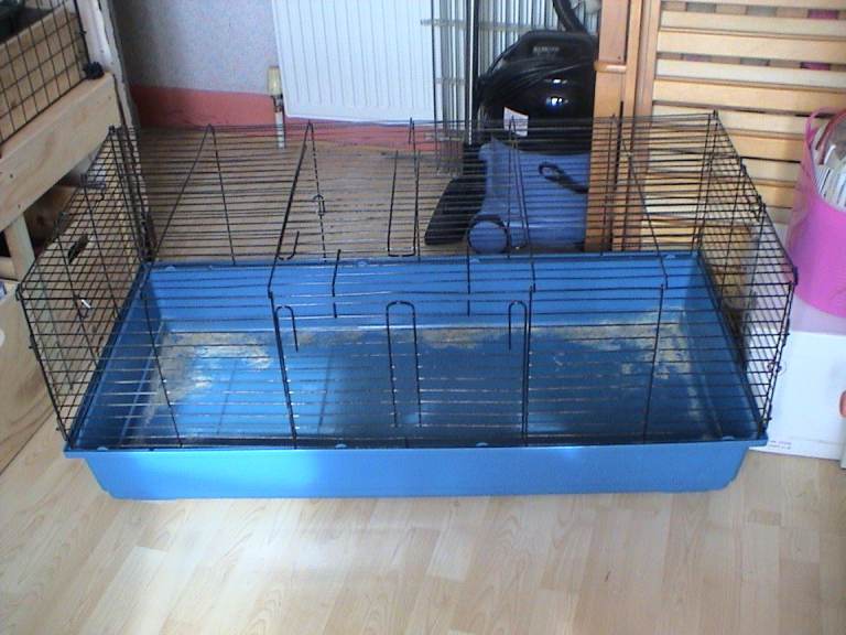 Large Guinea Pig & Rabbit Indoor Cage