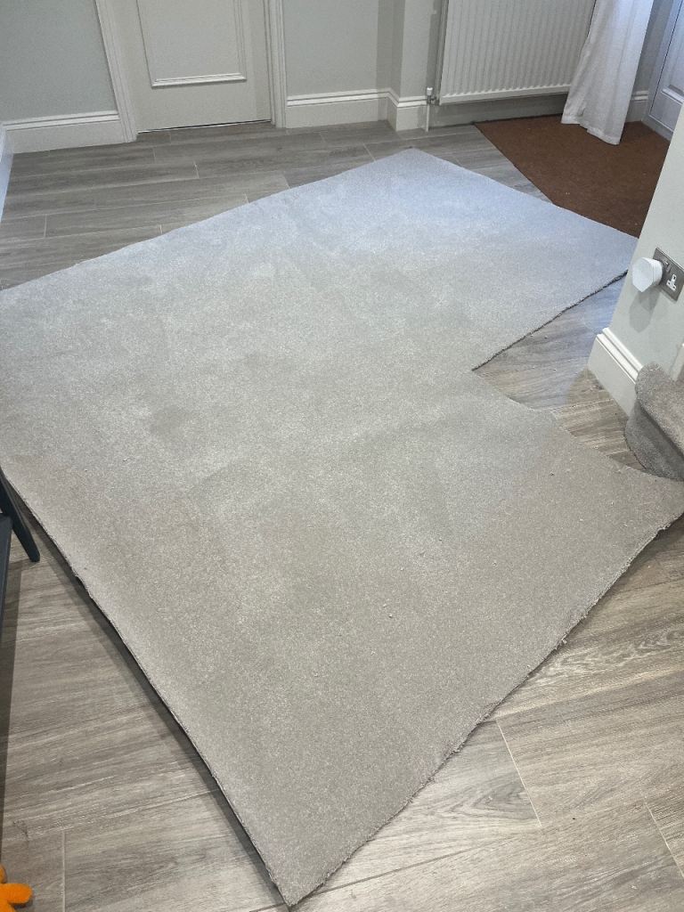 Carpet off cut 