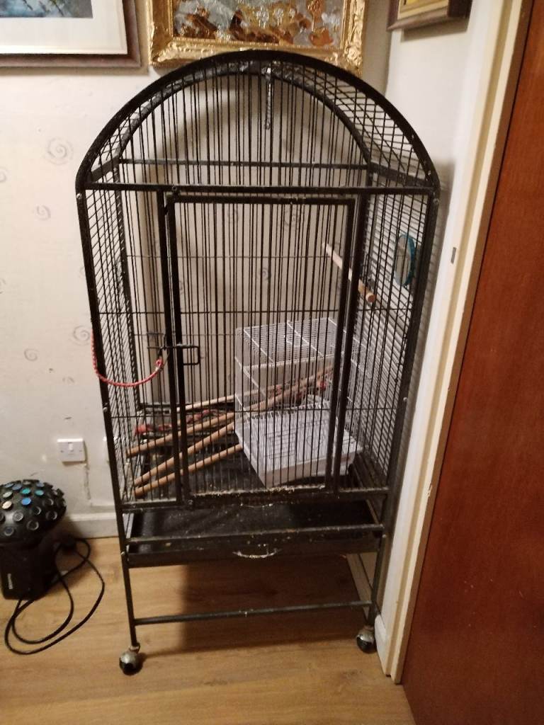 Bird cage 