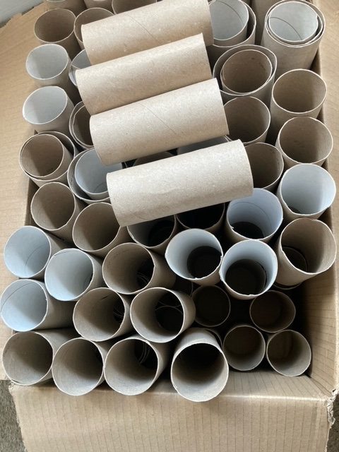 Cardboard, toilet roll inners for gardening, crafts or pets.