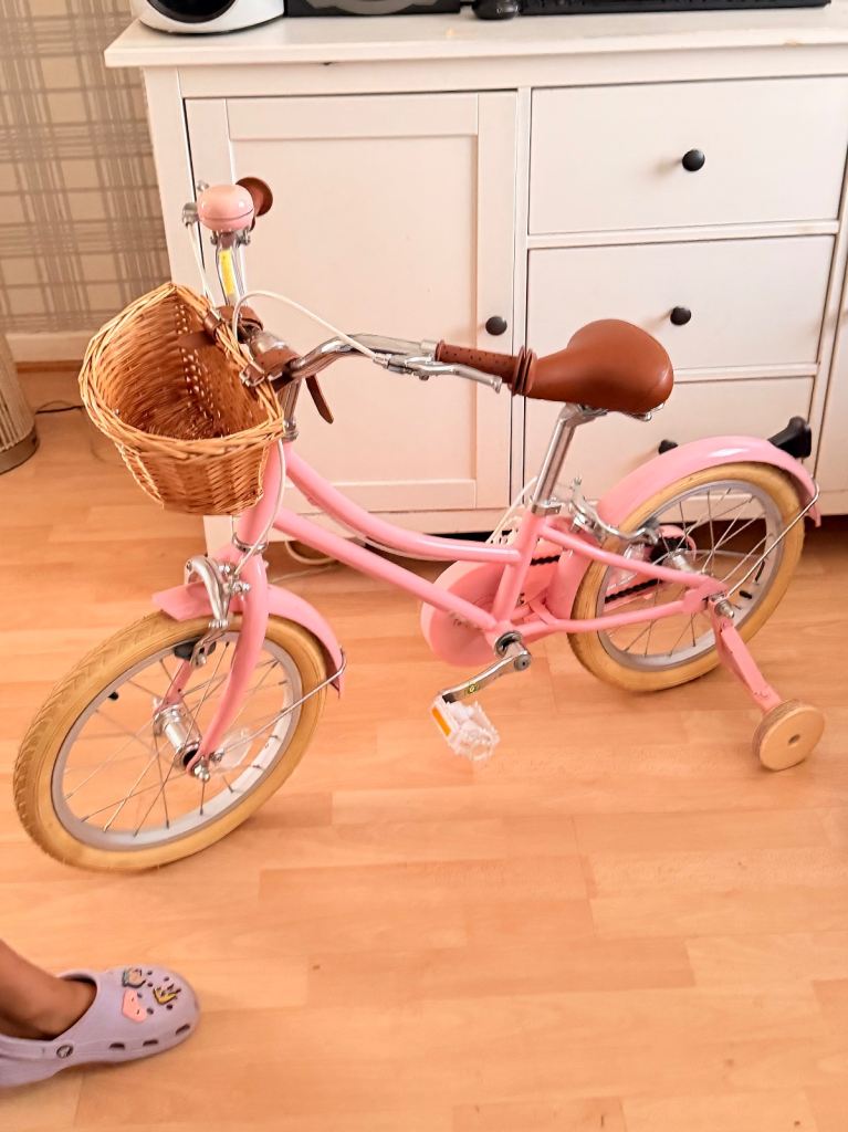 Girls Blossom Pink 16” Bobbin Gingersnap Bicycle Bike