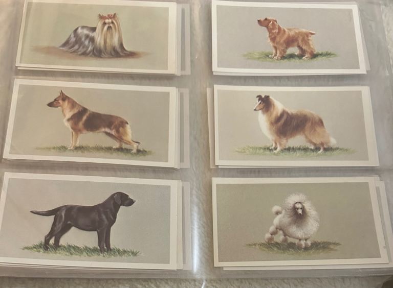 1979 Grandee Cards Top Dogs
